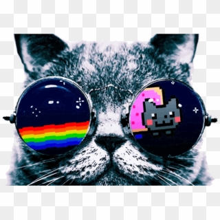 Nyan Cat Wearing Sunglasses Coloring Page Sunglasses 2048 Pixels