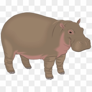 Clipart Image Of Hippopotamus - Png Download