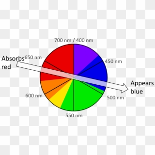 A Color Wheel Accurately Representing The Wavelength - Rueda De Colores Y Longitudes De Onda Clipart