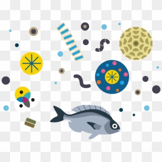 Fish And Plankton Illustration - Pomacentridae Clipart