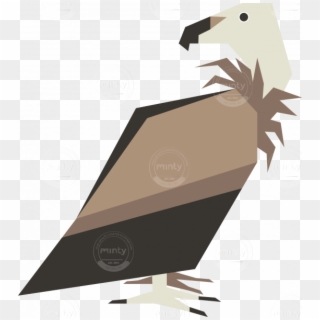 Griffon Vulture Bird Vector Artwork - Illustration Clipart