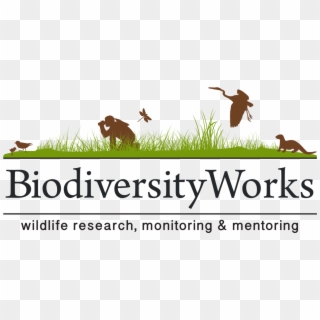 Wildlife Research, Monitoring, And Mentoring - Yale University Clipart