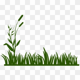 Grass Background Green Png Image - Border Grass Clipart Transparent Png