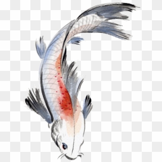 Clipart Free Stock Fishes Drawing Watercolor - Chinese Traditional Koi Painting - Png Download