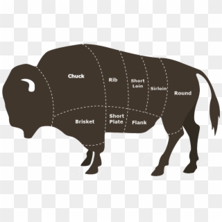 Bison Meat Cuts - Bison Meat Clipart