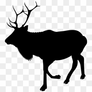 Download Png - Animated Elk Clipart