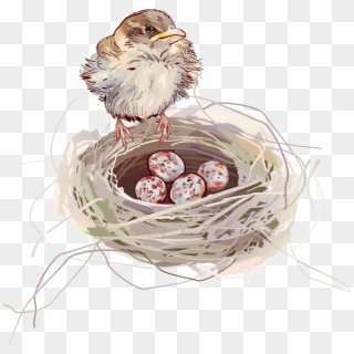 Nest Background - รังนก การ์ตูน Clipart