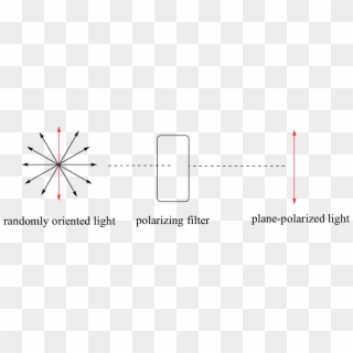 A Beam Of Plane-polarized Light, When Passed Through - Plane Polarised Light And Optical Activity Clipart