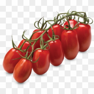 Mini San Marzano Vine Tomatoes - Tomato Clipart
