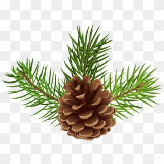 Free Png Pine Cone Png - Pine Cone Clipart Transparent Png
