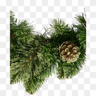Natural Look Pine Wreath With Pine Cones & Lightly Clipart
