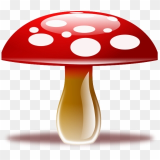 Amanita Muscaria, Fly Agaric, Fungus, Fly Amanita - Mushroom Clipart Png Transparent Png