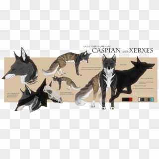 Caspian And Xerxes Ref Clipart