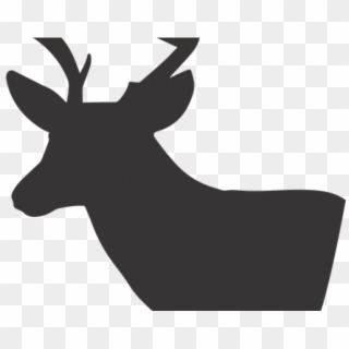 Free Deer Silhouette - Portable Network Graphics Clipart