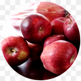 תפוחי עץ Clipart