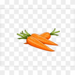 Graphic Free Download Carrot Clipart Zanahoria - Illustration Carrot Png Transparent Png