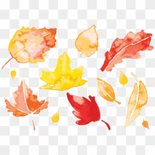 Banner Autumn Leaves Painting Leaf Transprent Png Free - Watercolor Fall Leaves Vector Clipart
