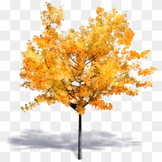 Generic Autumn Tree Clipart