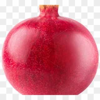 Pomegranate Clipart Single - Pomegranate Transparent Background - Png Download