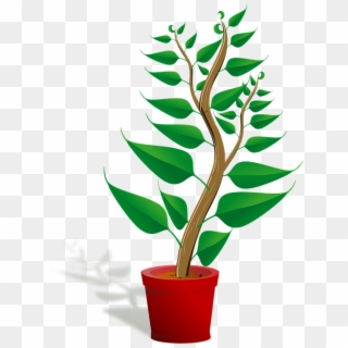 Seedling Potted Plant Sapling Plant Growing Growth - Getting To Know Plants Clipart