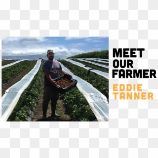Fb Meet Our Farmer Clipart