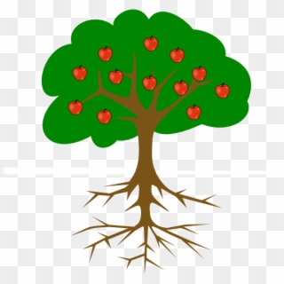 Tree Drawing With Fruits Clipart