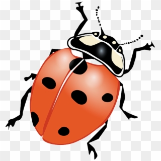 Free Image On Pixabay - Black And White Ladybugs Clipart - Png Download