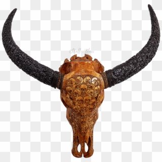 Carved Buffalo Skull // Carved Horns - Horn Clipart