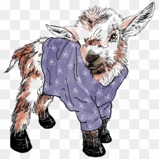 Baby Goat Tshirt Design - Sweater Clipart