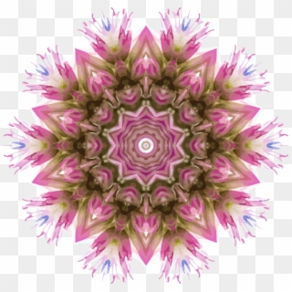 This Free Icons Png Design Of Wildflower Kaleidoscope Clipart