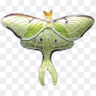 Butterflies & Moths - Luna Moth Pin Clipart
