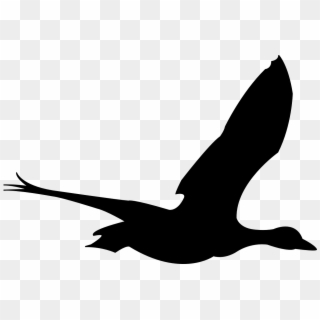 Duck Bird Flying - Bird Flying Gif Png Clipart