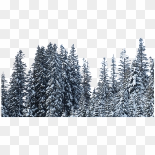 Backdrop Treeline Snowy - Snow Clipart