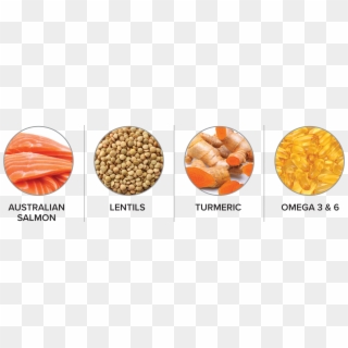 Salmon-ingredients Clipart