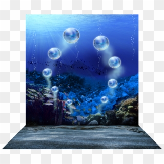 3 Dimensional View Of - Coral Reef Clipart