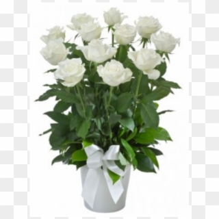 1 Dozen Long Stemmed White Roses In Vase Pot Product - Garden Roses Clipart