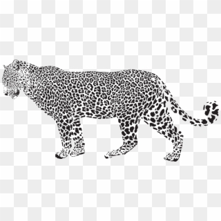 19 Cheetah Jpg Freeuse Library Black And White Huge Clipart