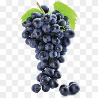Grape Png Image & Grape Clip Art - Blue Grape Png Transparent Png