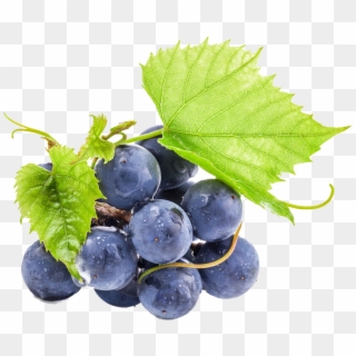 Purple Cartoon Grapes - Grape Clipart