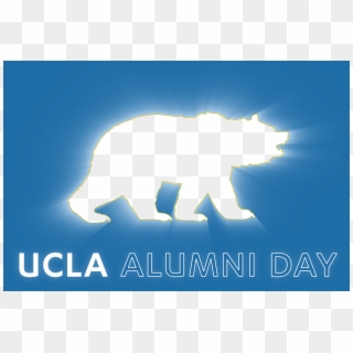 Ucla Almuni Day Promotional Video - Polar Bear Clipart