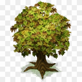 Maple Tree Png - Big Trunk Tree Png Clipart
