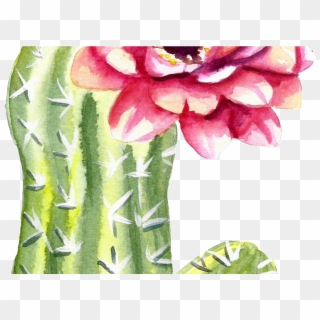 Green Watercolor Hand Painted Cactus Flower Transparent - Watercolor Cartoon Cactus Transparent Clipart