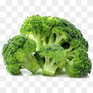 Broccoli Png Clipart