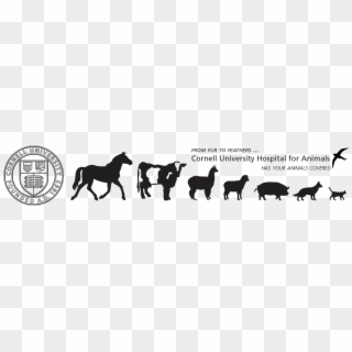 Cornellhospitalanimals - Silhouette Clipart
