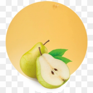 Com/wp Concentrate - Asian Pear Clipart