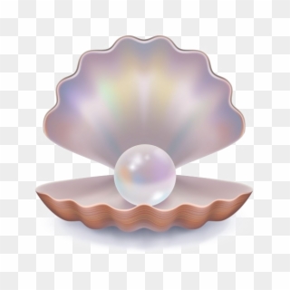 Pearl Download Png Image - Pearl Transparent Background Clipart