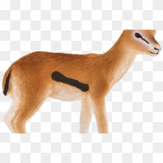 Download Gazelle Transparent Background Hq Png Image - Transparent Background Gazelle Drawing Clipart