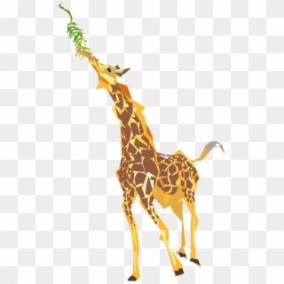 Giraffe, Eating, Long, Neck, Tongue, Wildlife, Africa - Giraffe Eating Leaves Cartoon Clipart