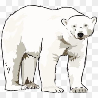 Art Polar Bear Clipart Clipart Kid - Clip Art Polar Bear - Png Download