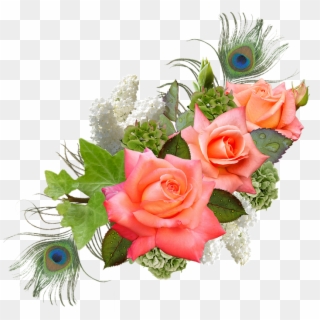 Rose, Rose Flower, Hydrangeas, Lilac, Peacock - Hydrangea Rose Flower Clipart